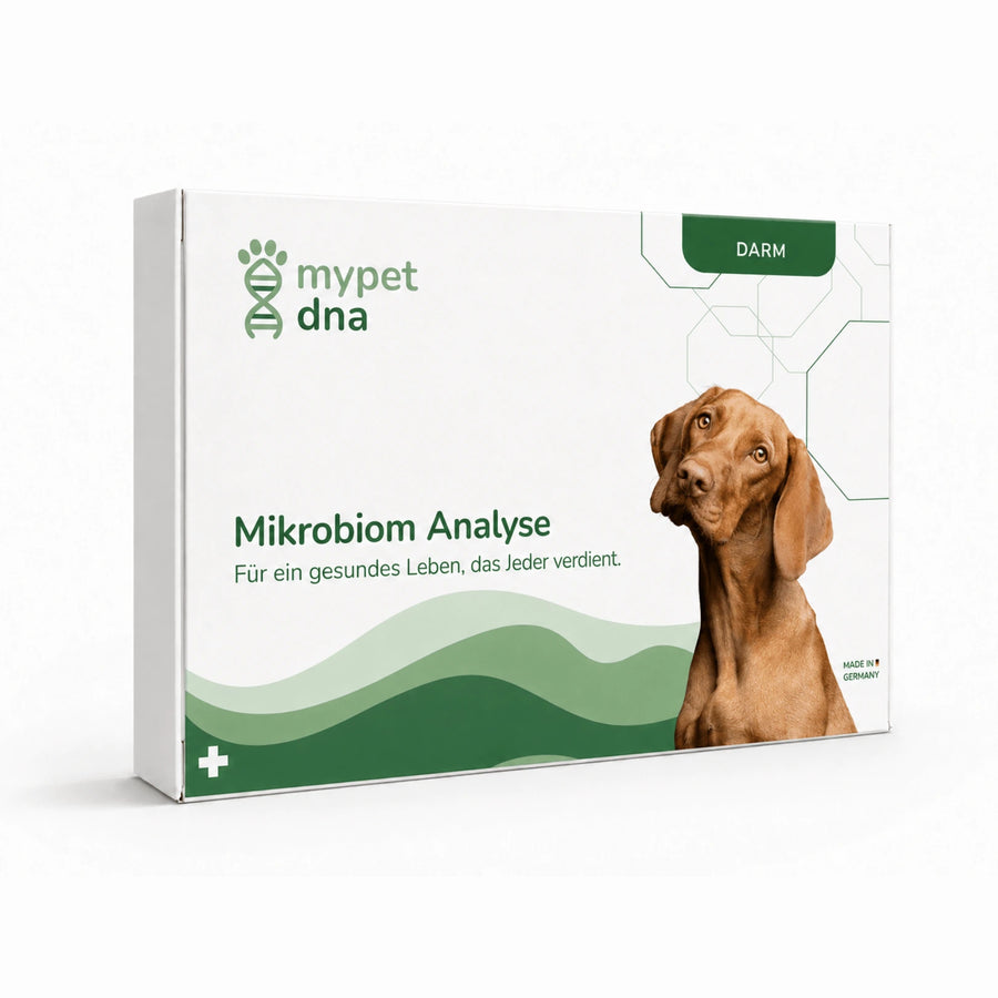 Mikrobiom Analyse - Hunde