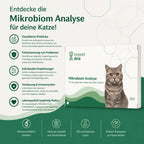 Mikrobiom Analyse - Katzen