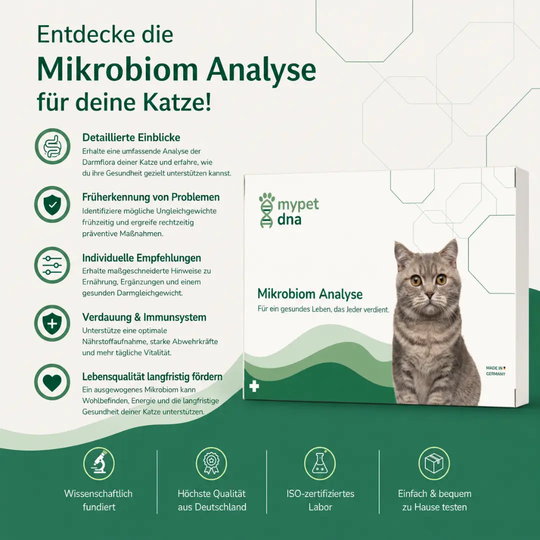 Mikrobiom Analyse - Katzen