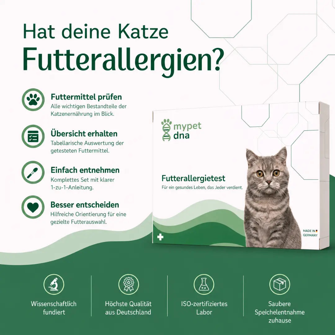 Futterallergietest - Katzen