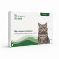 Mikrobiom Analyse - Katzen