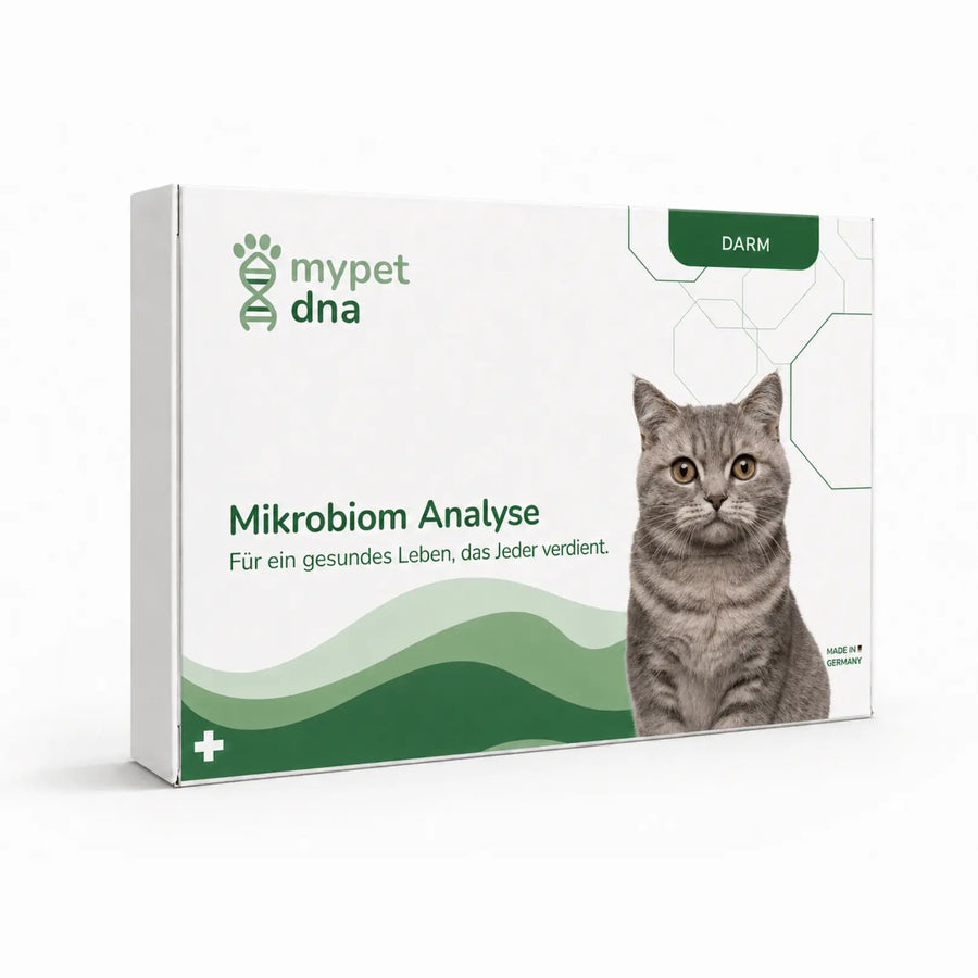 Mikrobiom Analyse - Katzen