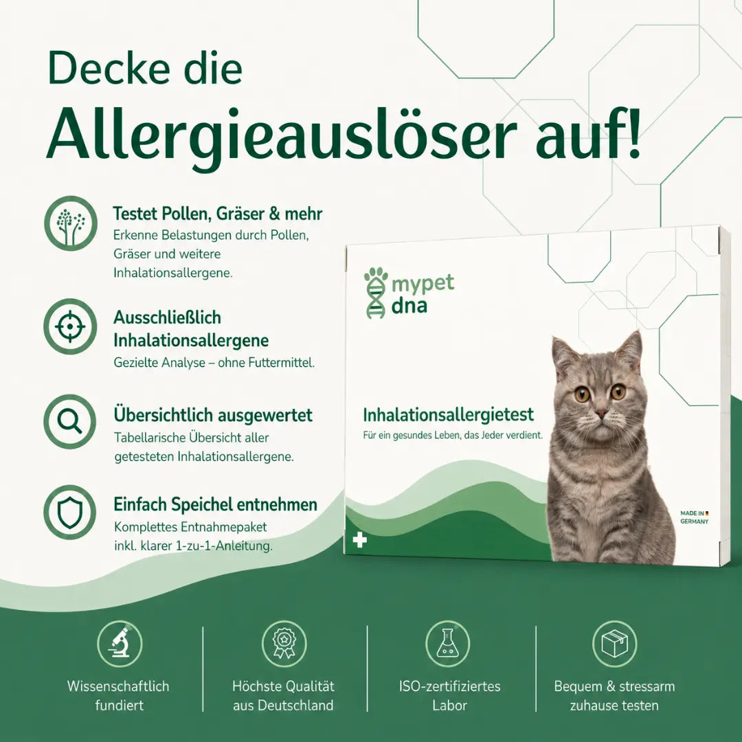 Inhalationsallergietest - Katzen