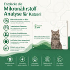 Mikronährstoff Analyse - Katzen