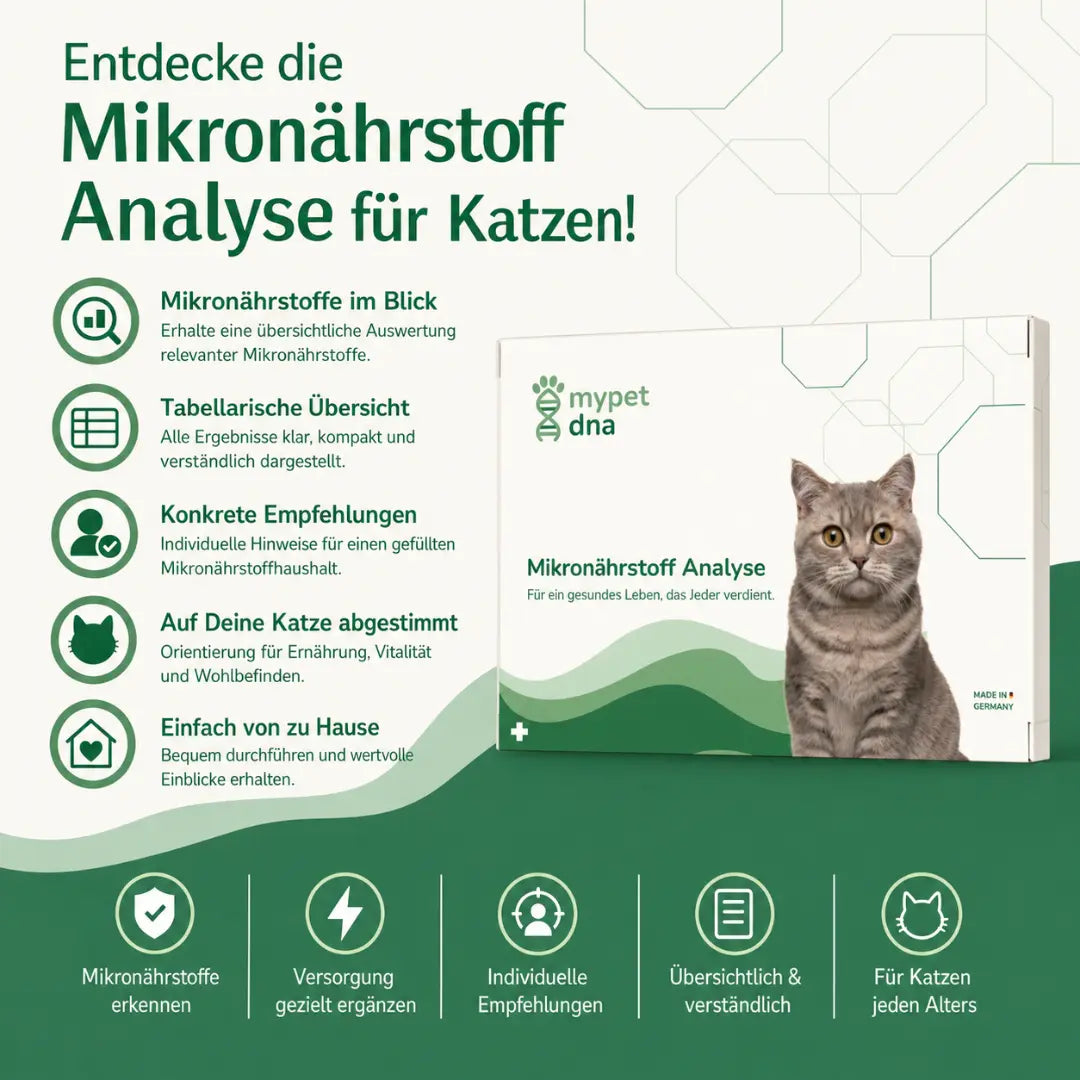 Mikronährstoff Analyse - Katzen