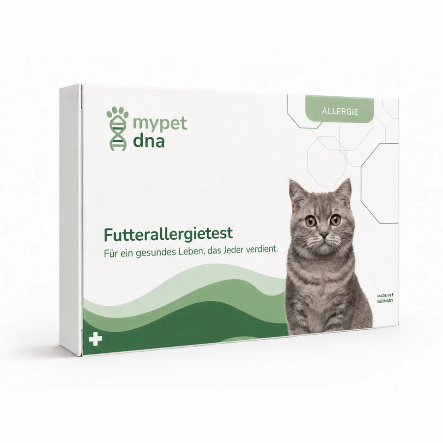 Futterallergietest - Katzen