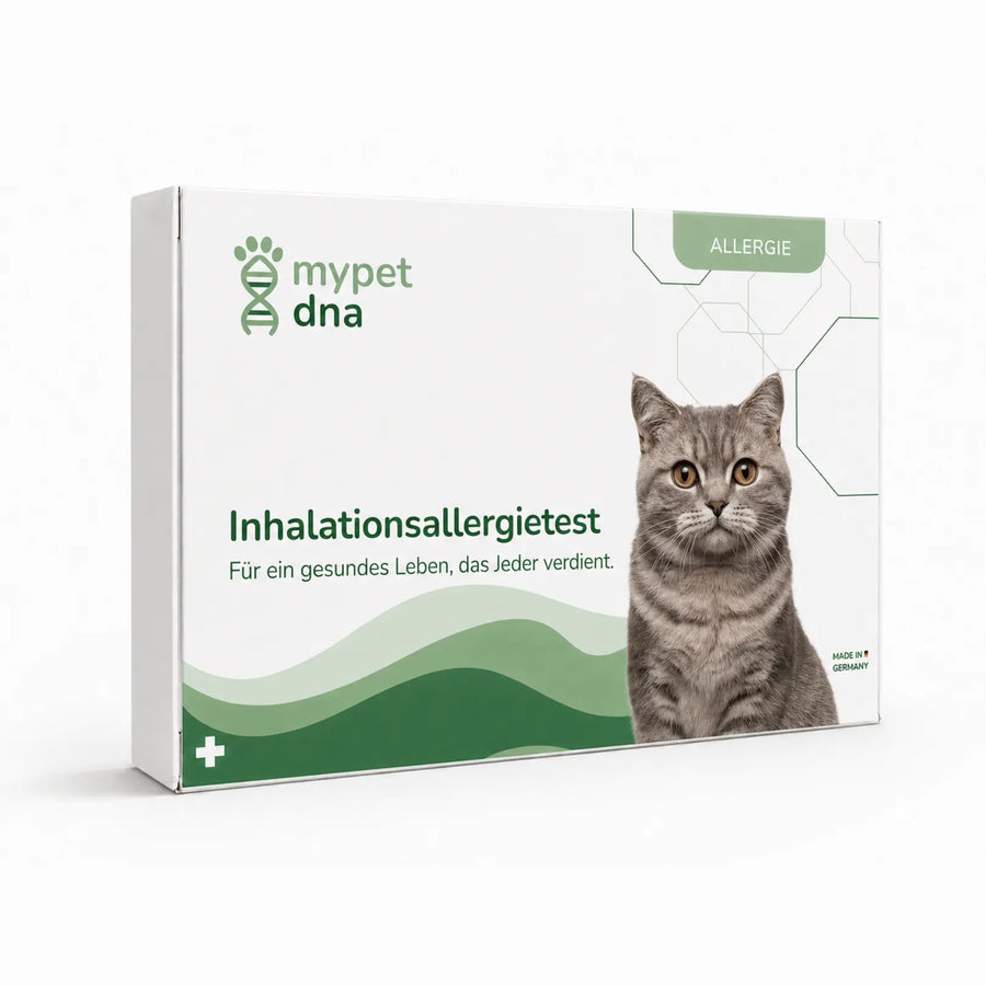 Inhalationsallergietest - Katzen