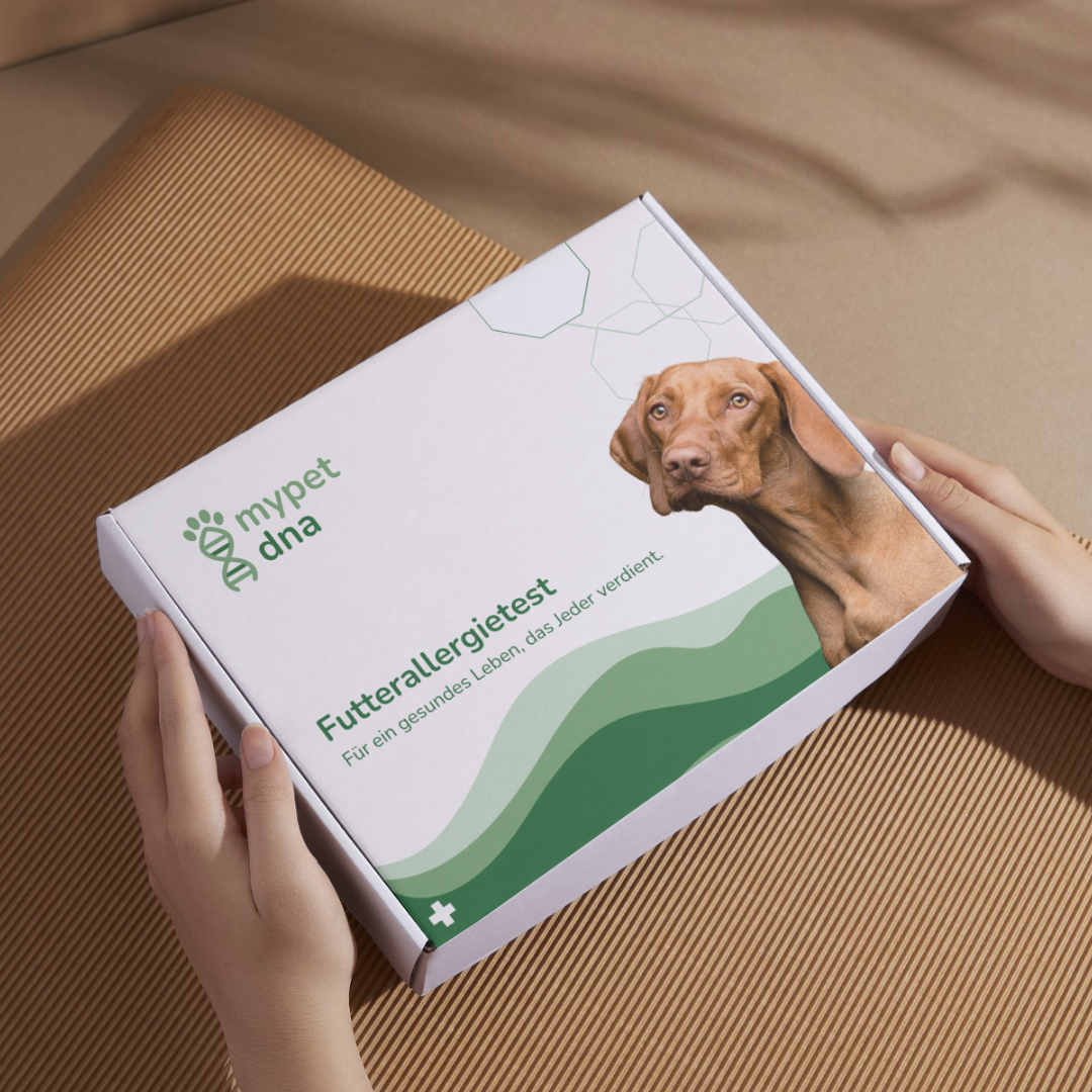 Futterallergietest - Hunde
