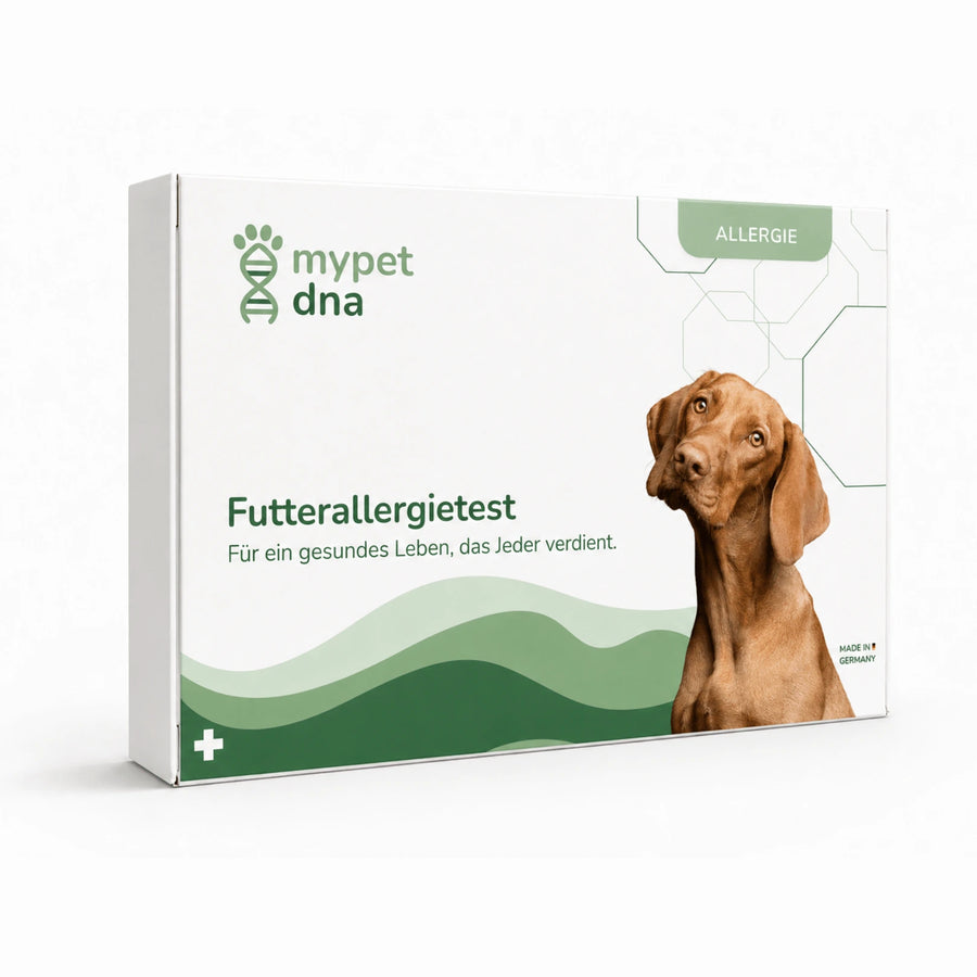 Futterallergietest - Hunde