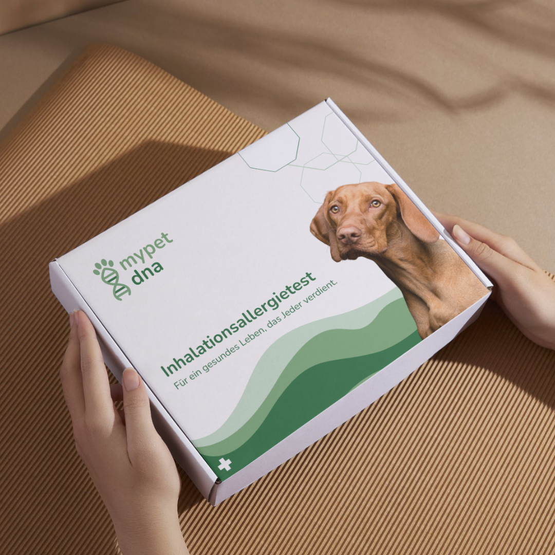 Inhalationsallergietest - Hunde