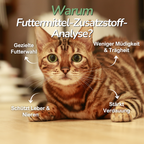 Katze liegt neben Futternapf – Hinweis auf mögliche Unverträglichkeiten gegenüber Zusatzstoffen im Futter