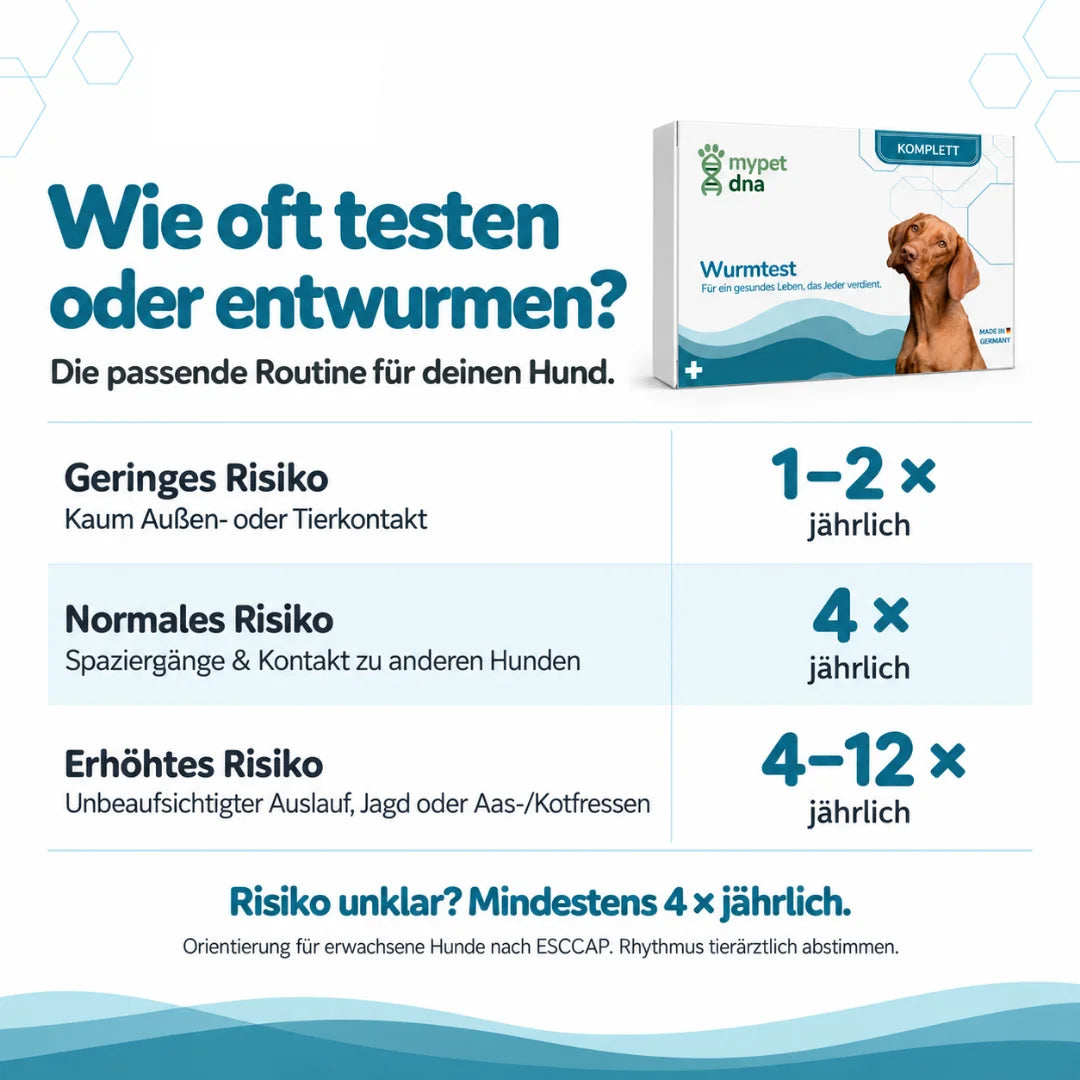 Wurmtest Plus - Hunde