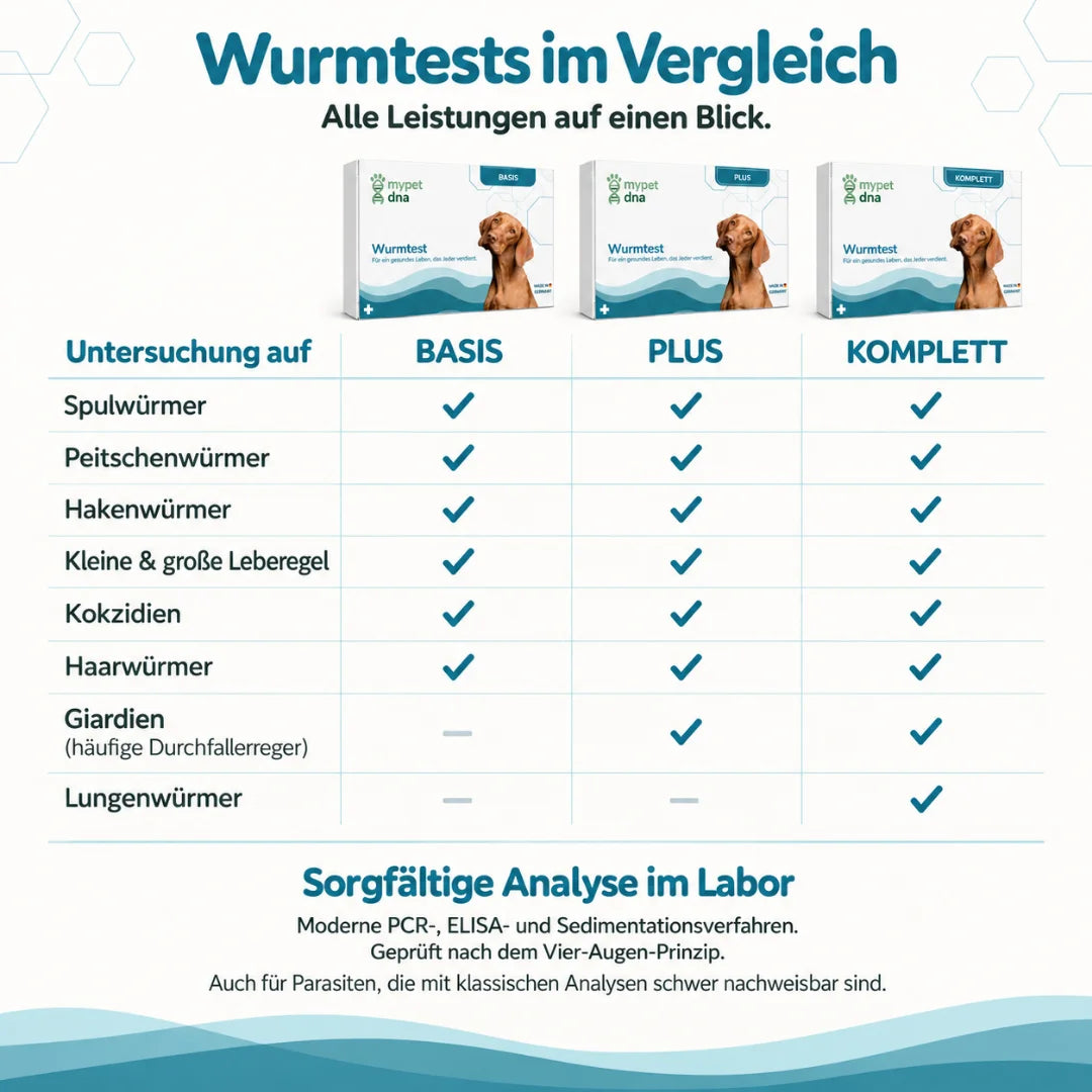 Wurmtest Plus - Hunde