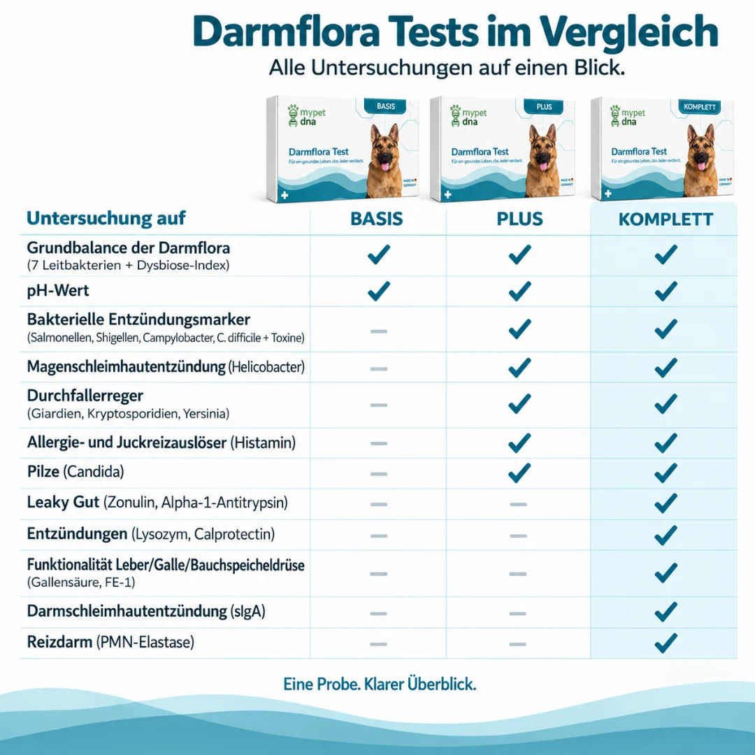 Darmflora Test Plus - Hunde