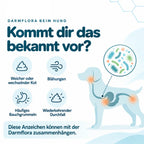Darmflora Test Plus - Hunde