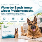Darmflora Test Plus - Hunde