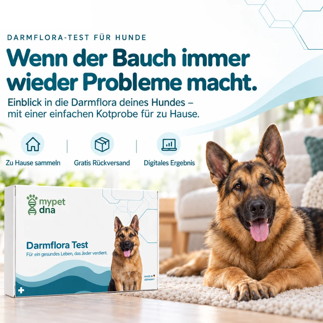 Darmflora Test Plus - Hunde