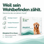 Allergietest Basic - Hunde