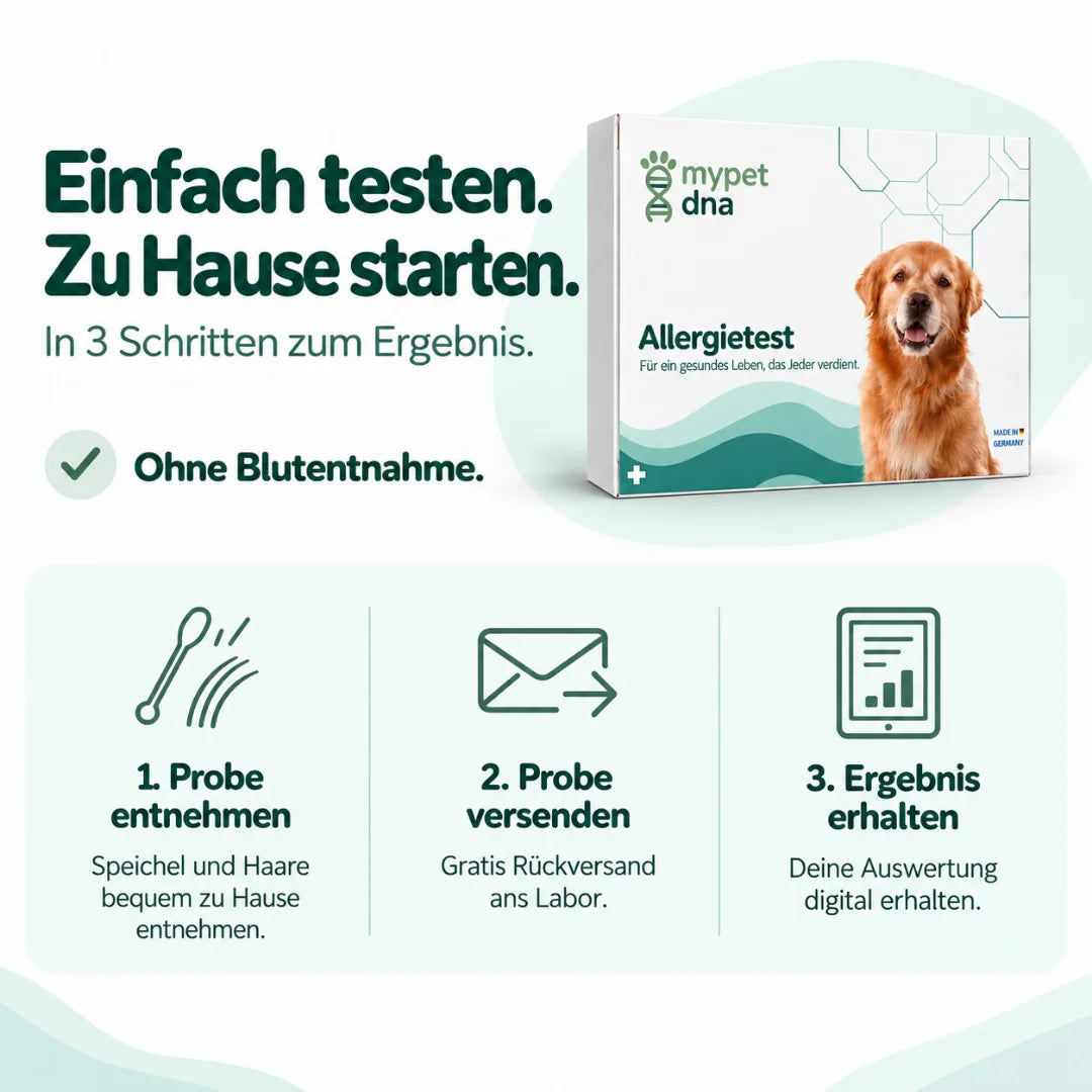 Allergietest Plus - Hunde