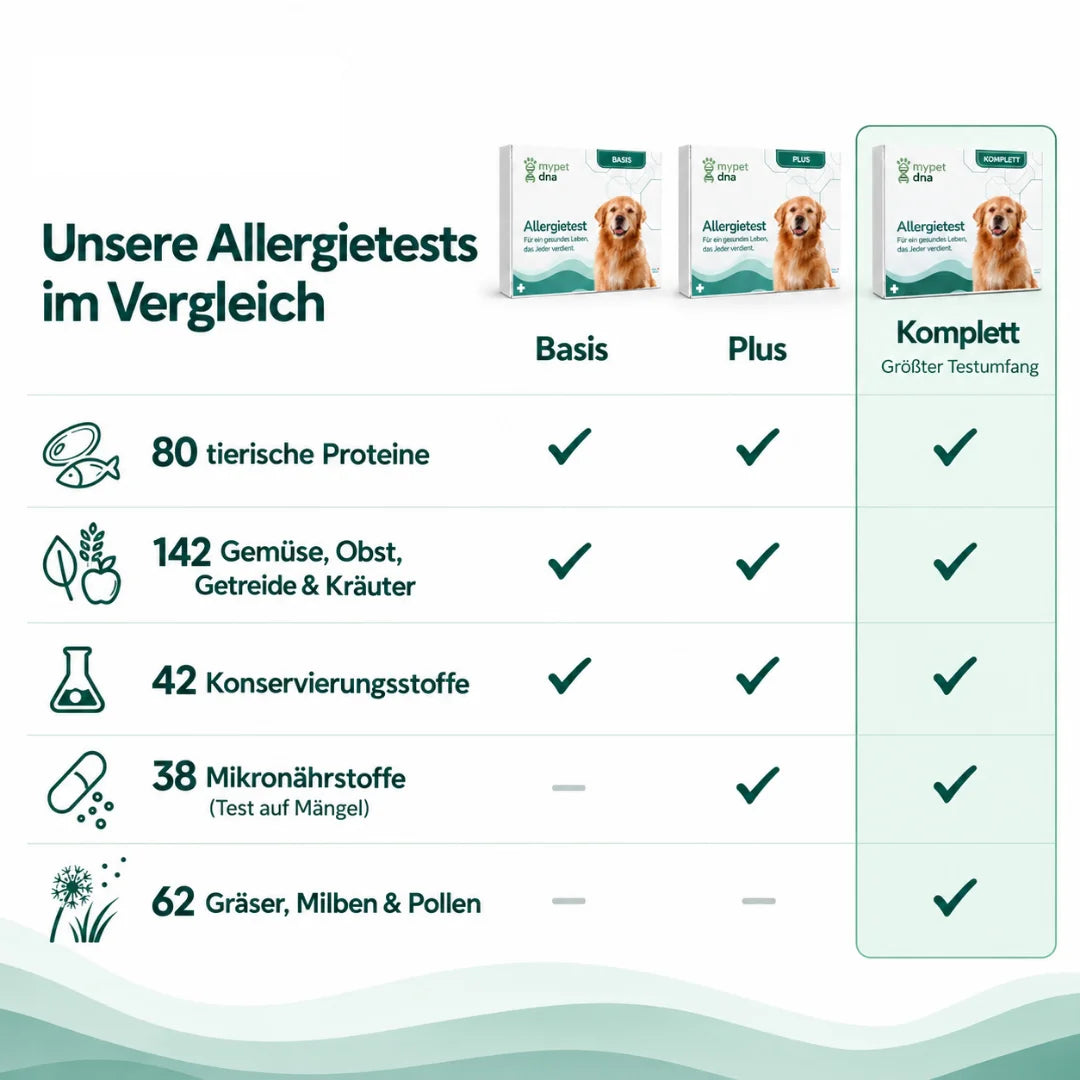Allergietest Basic - Hunde
