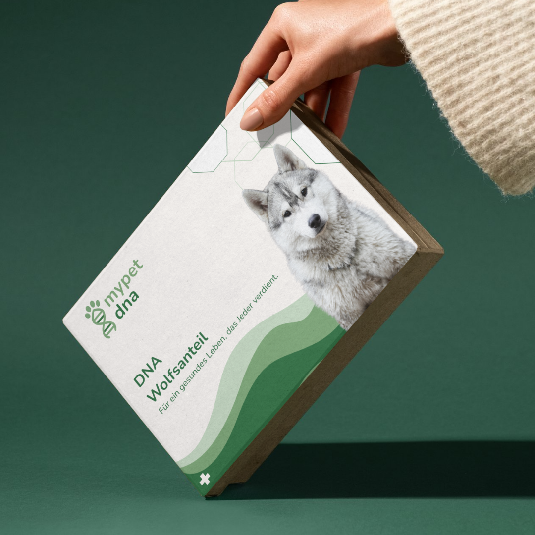 DNA Wolfsanteil Analyse