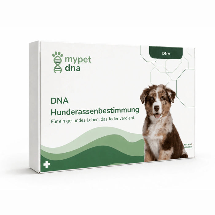 DNA Hunderassenbestimmung