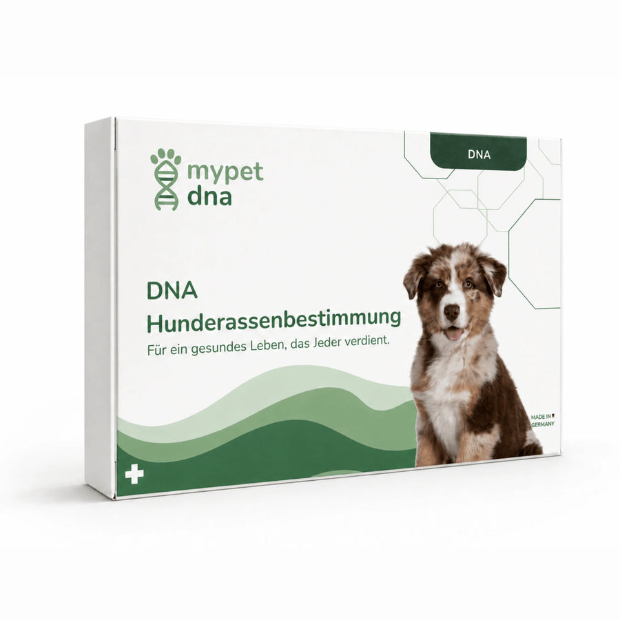 DNA Hunderassenbestimmung