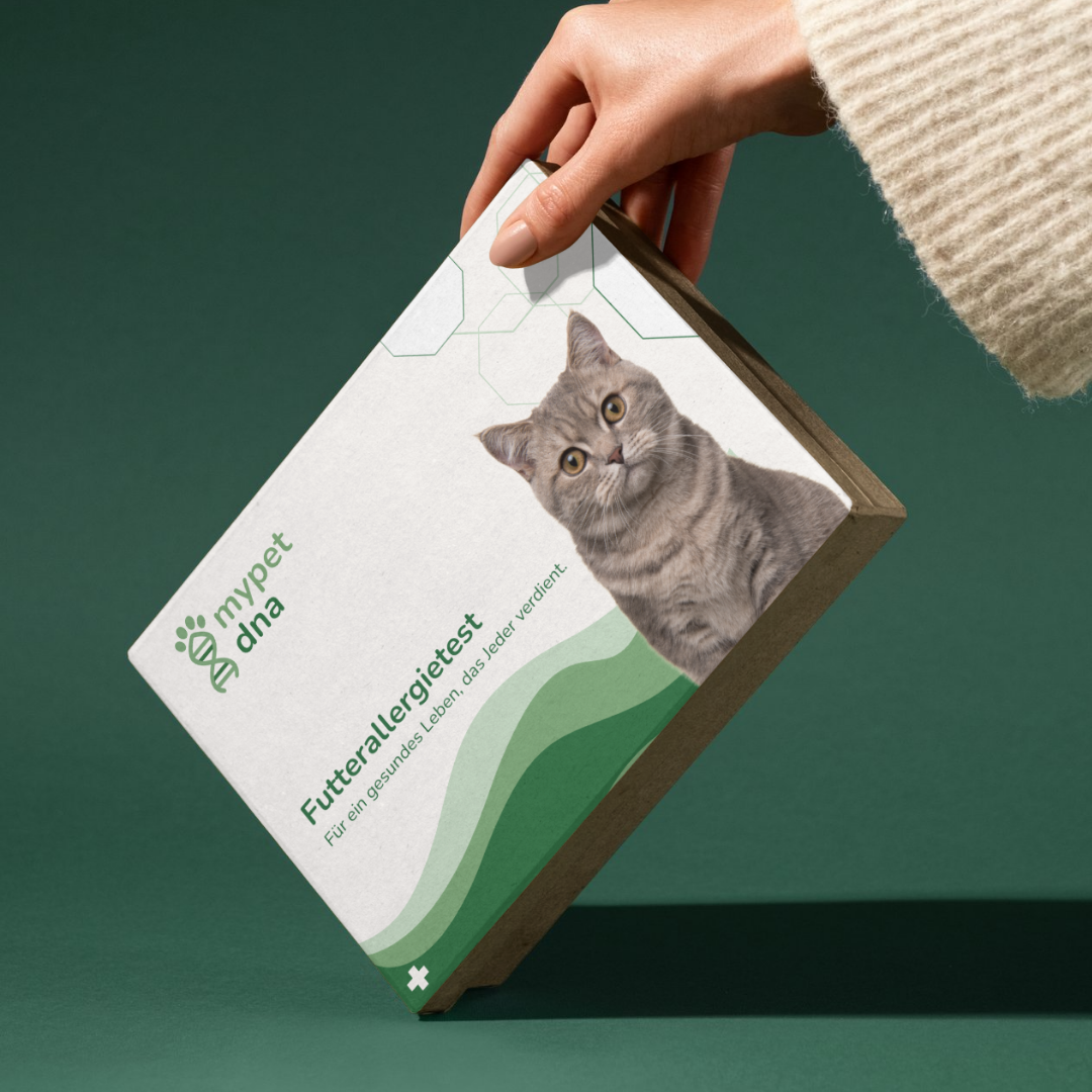 Futterallergietest - Katzen