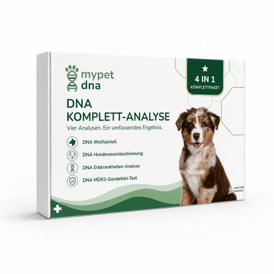 DNA Premium-Komplettanalyse