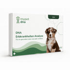 DNA Erbkrankheiten Analyse