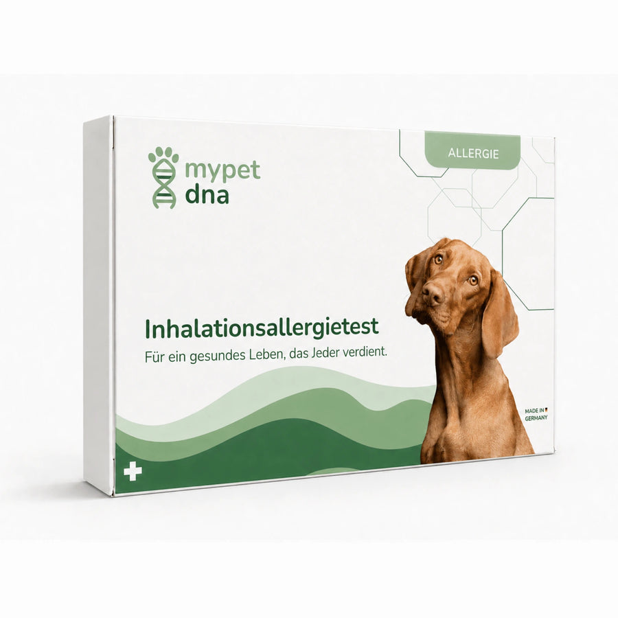 Inhalationsallergietest - Hunde
