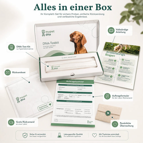 DNA Premium-Komplettanalyse