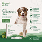 🧬 DNA Premium-Komplettanalyse
