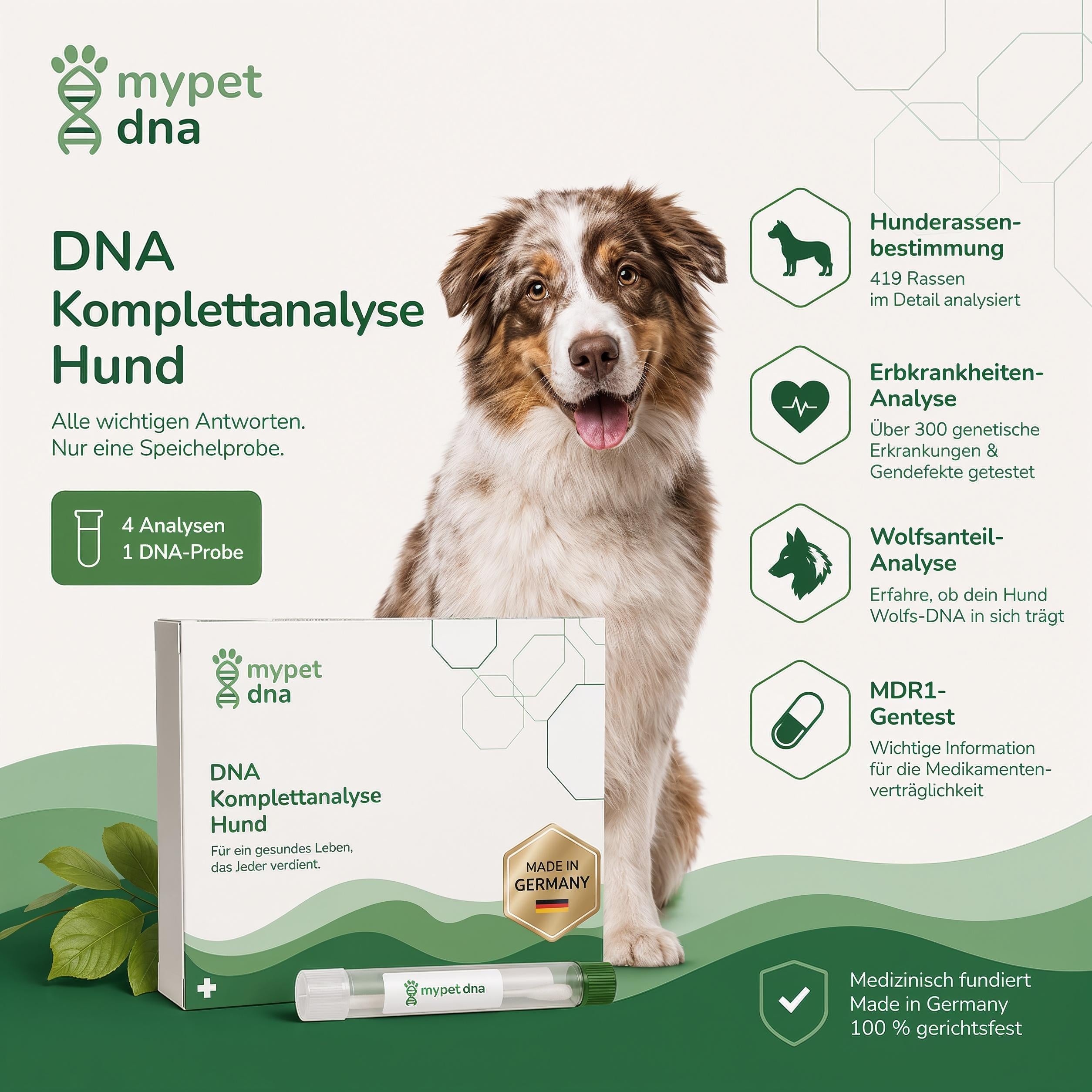 🧬 DNA Premium-Komplettanalyse