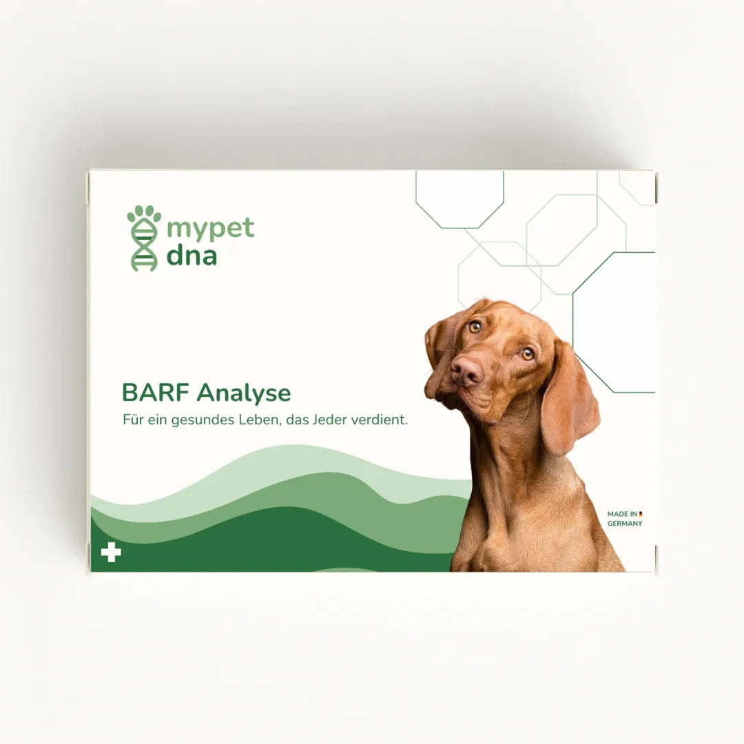 mypet dna BARF Analyse für Hunde – Produktverpackung mit Hund und grünem Design