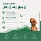 Barf Analyse Hund