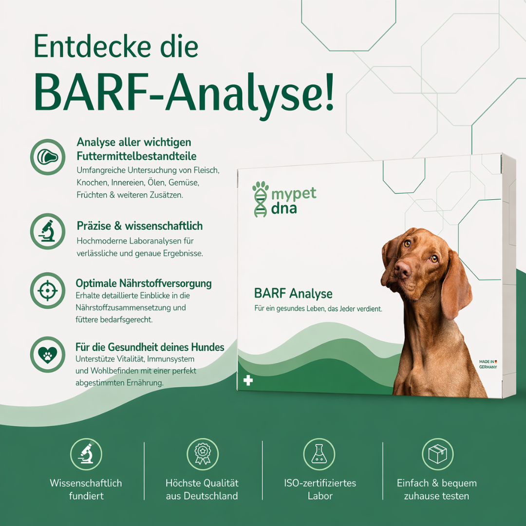 Barf Analyse Hund