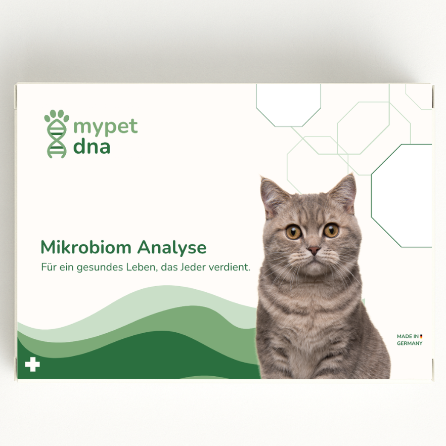 mypet dna Mikrobiom-Testkit für Katzen – Produktverpackung mit Katze auf weißem Hintergrund