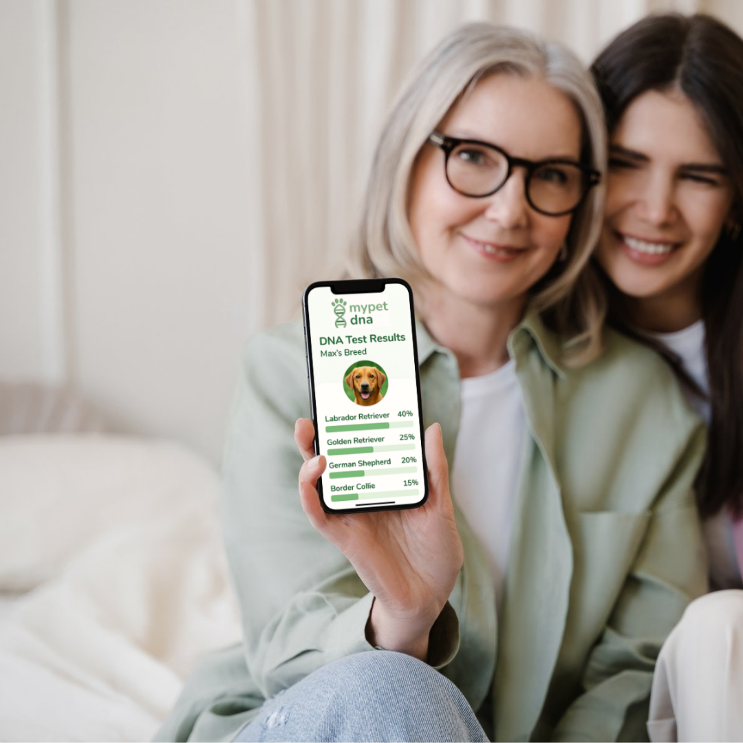 Zwei Frauen halten Smartphone mit Analyseergebnis des mypet dna Tests – digitaler Ergebniszugang