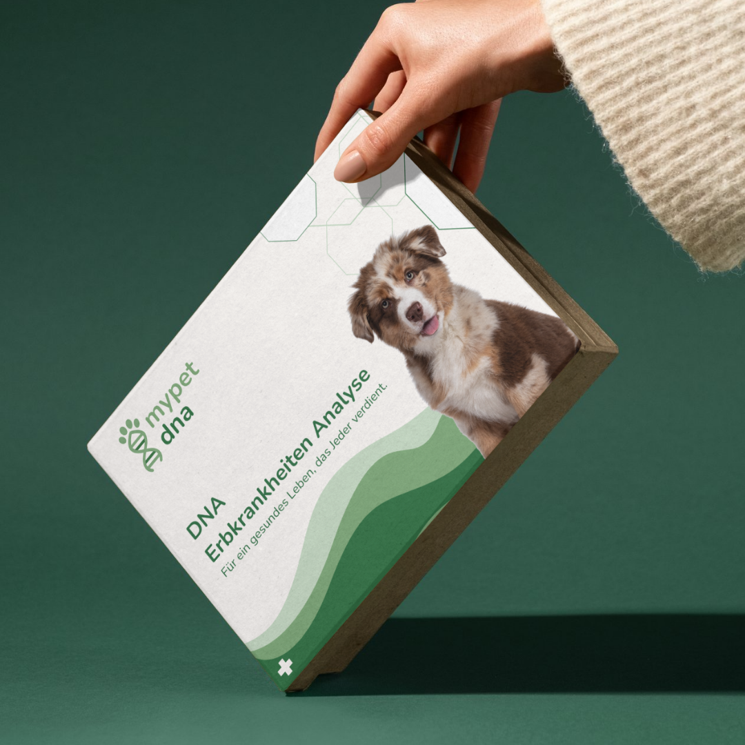 DNA-Testkit wird seitlich präsentiert – modernes Design und kompakte Verpackung