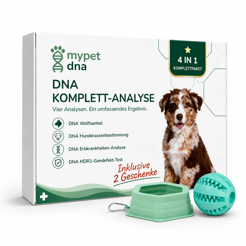 DNA Premium-Komplettanalyse