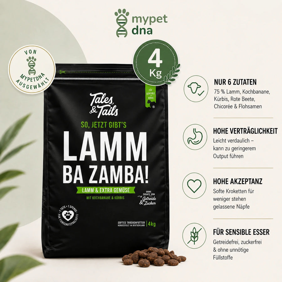 Hypoallergenes Hundefutter mit LAMM – Monoprotein | 4 kg
