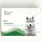 mypet dna DNA Wolfsanteil Analyse – Testkit-Verpackung mit Husky und grünem Design