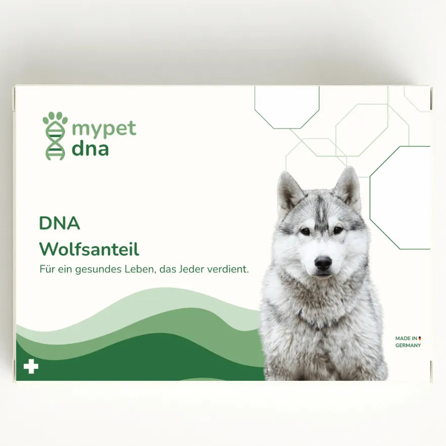 mypet dna DNA Wolfsanteil Analyse – Testkit-Verpackung mit Husky und grünem Design