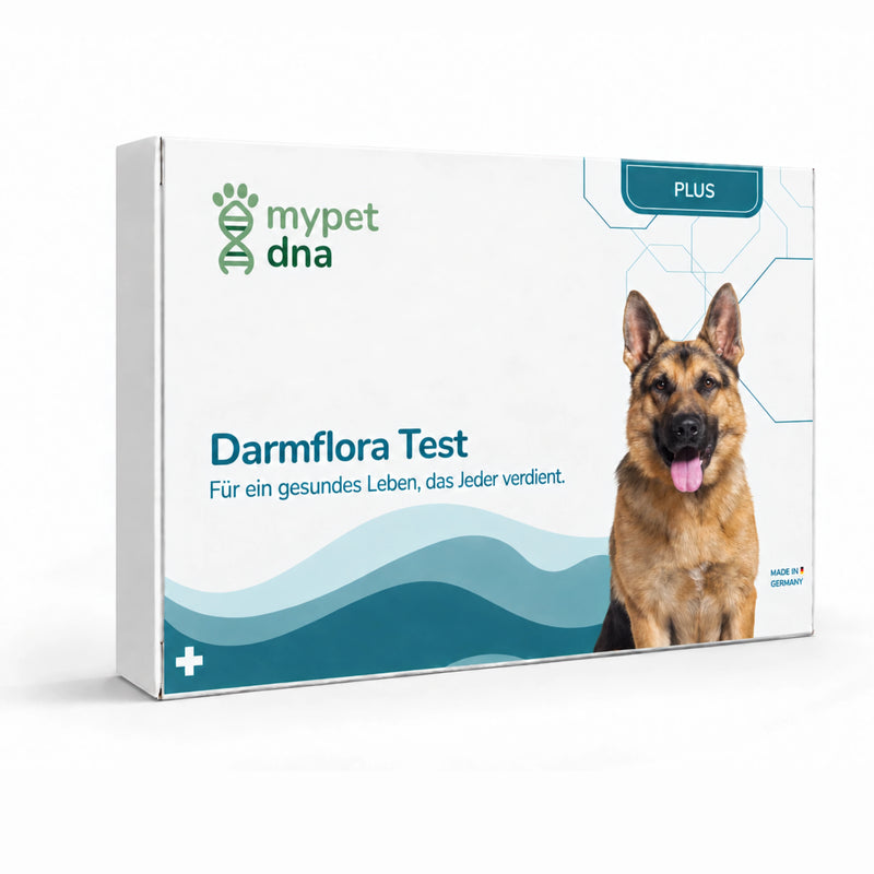 Darmflora Test Plus - Hunde