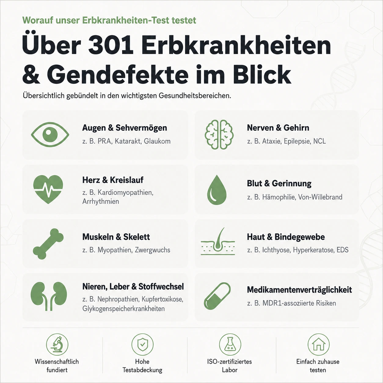DNA Premium-Komplettanalyse