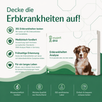 Decke die Erbkrankheiten auf