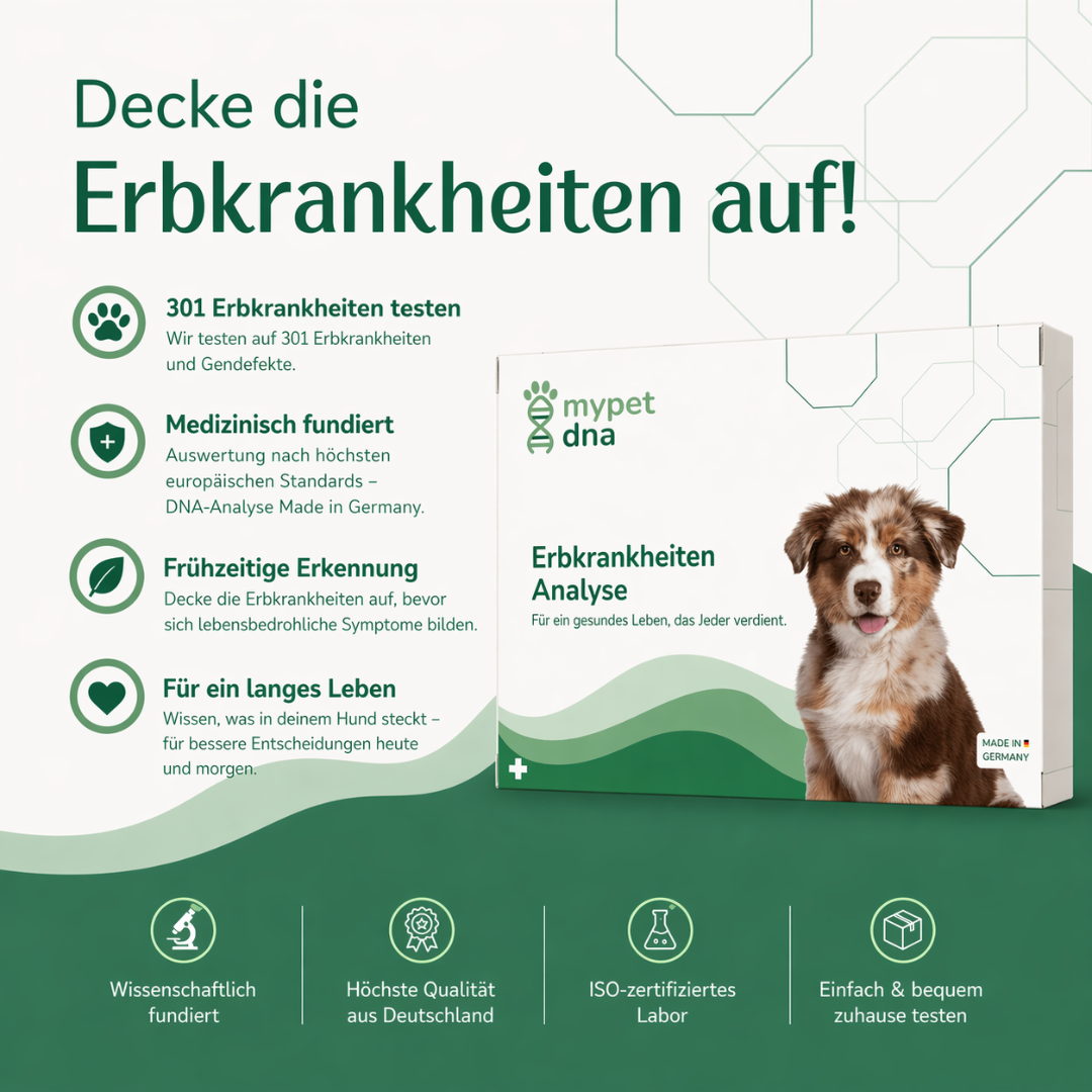 Decke die Erbkrankheiten auf