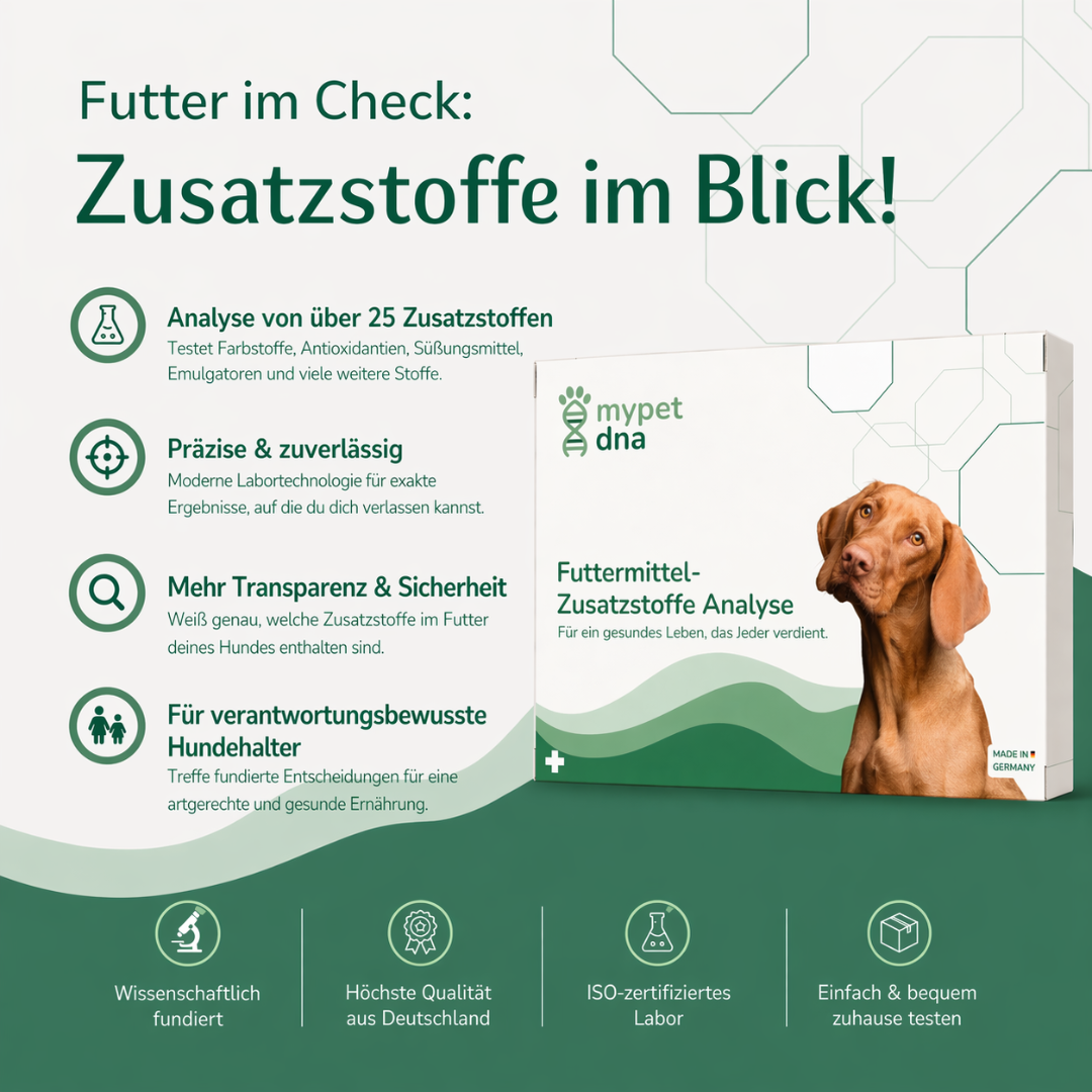 Futter Zusatzstoff Analyse Hund