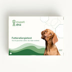 mypet dna Futterallergietest für Hunde – Verpackung mit Hund und grünem Wellen-Design